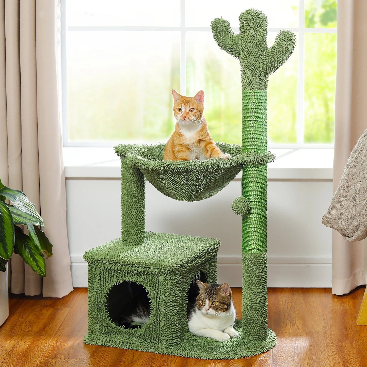 Arbre à chat - Cactus Cat Vert