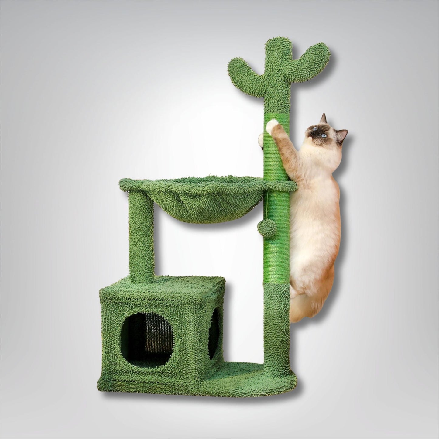 Arbre à chat - Cactus Cat Vert