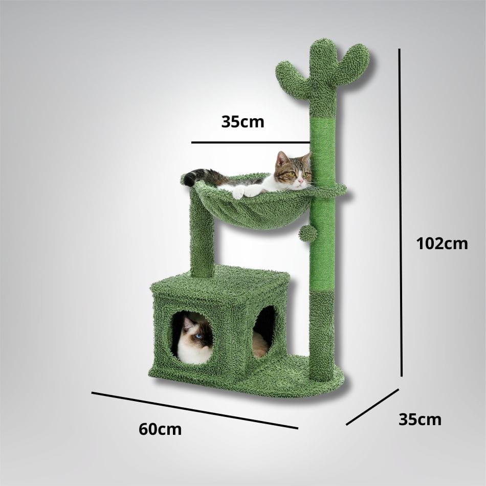Arbre à chat - Cactus Cat Vert