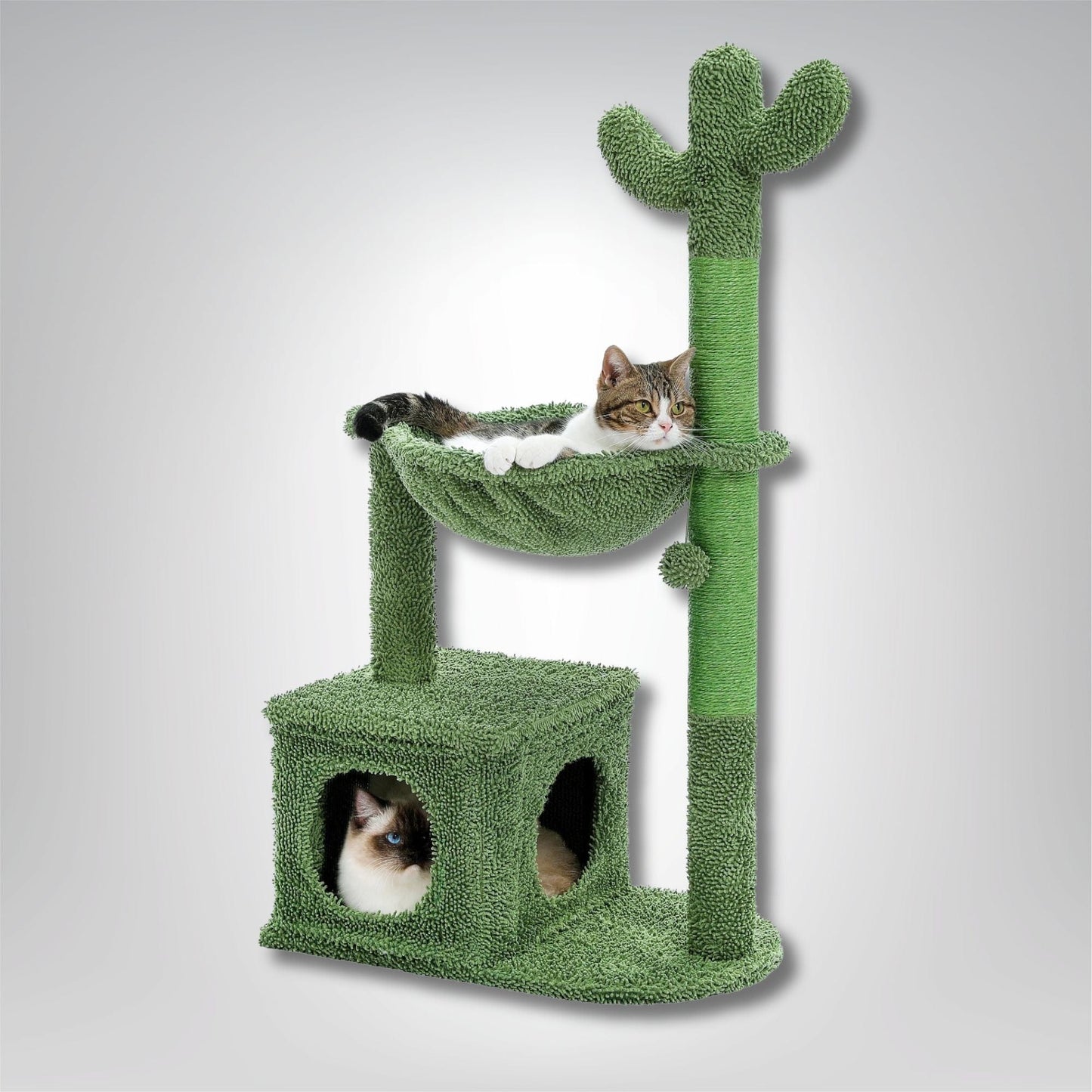 Arbre à chat - Cactus Cat Vert