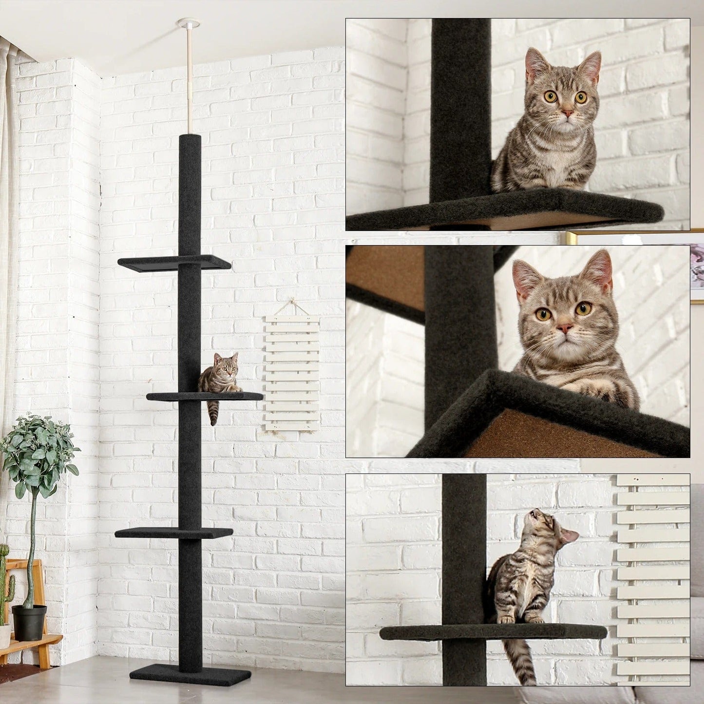Arbre à chat - Whisk'Tower