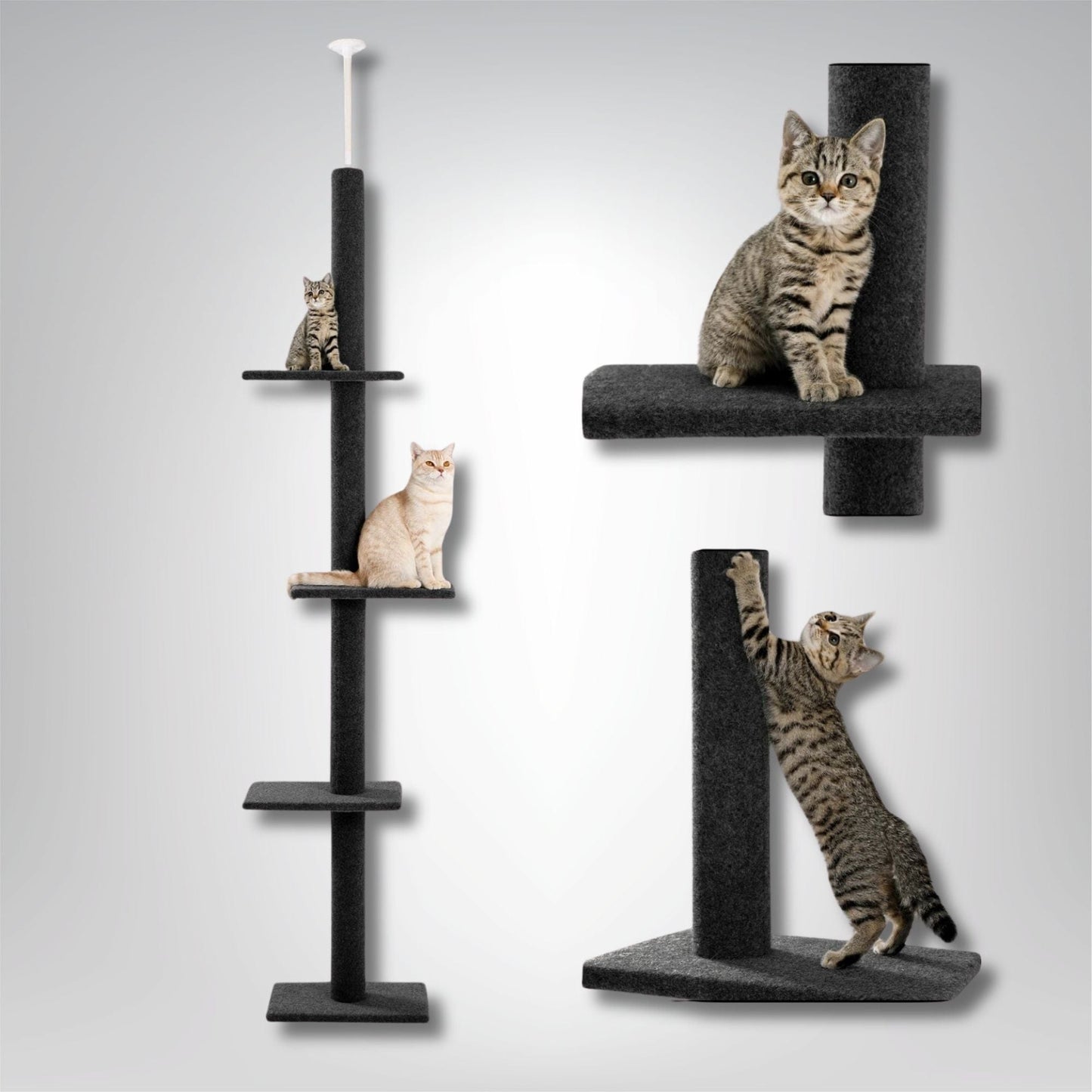 Arbre à chat - Whisk'Tower