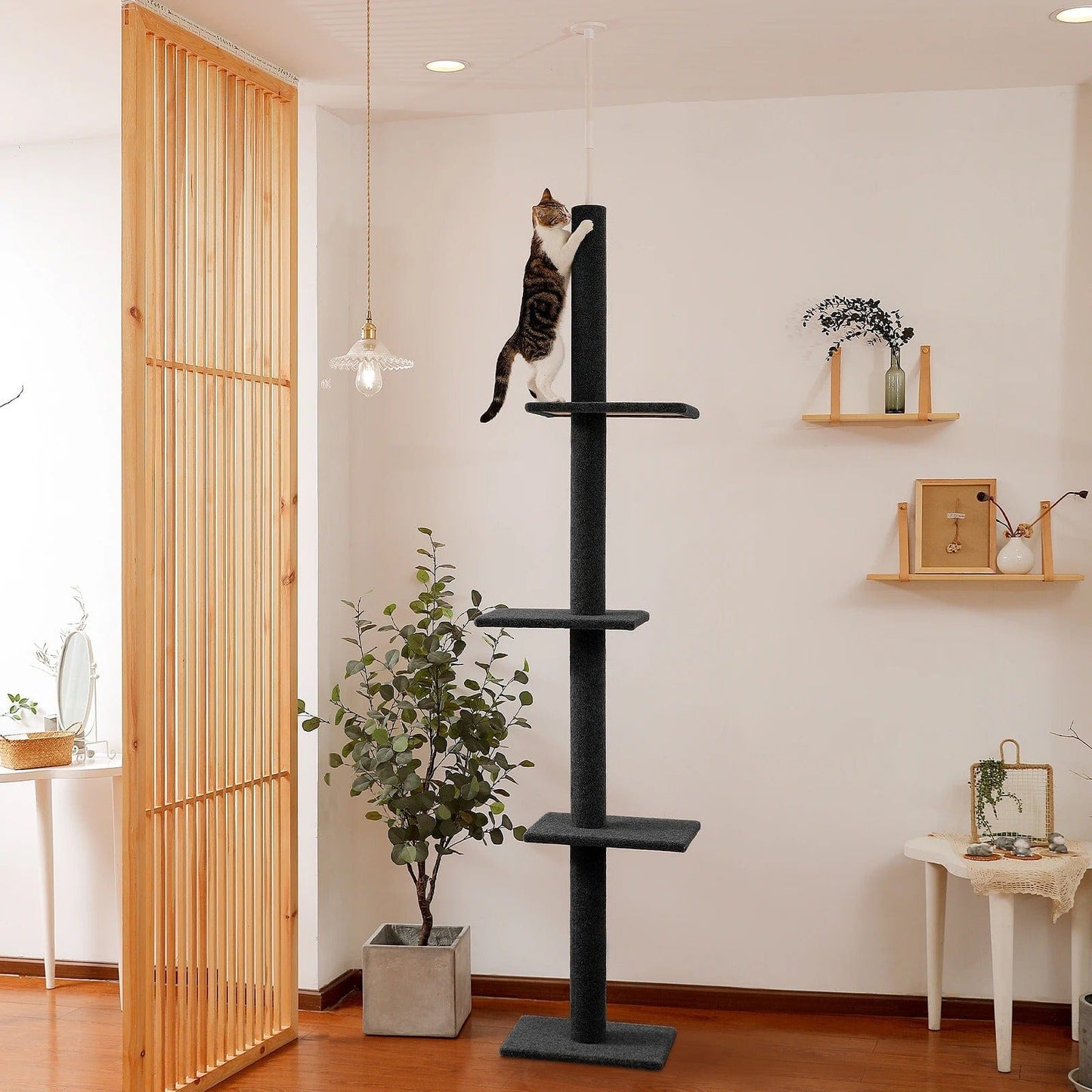 Arbre à chat - Whisk'Tower Noir