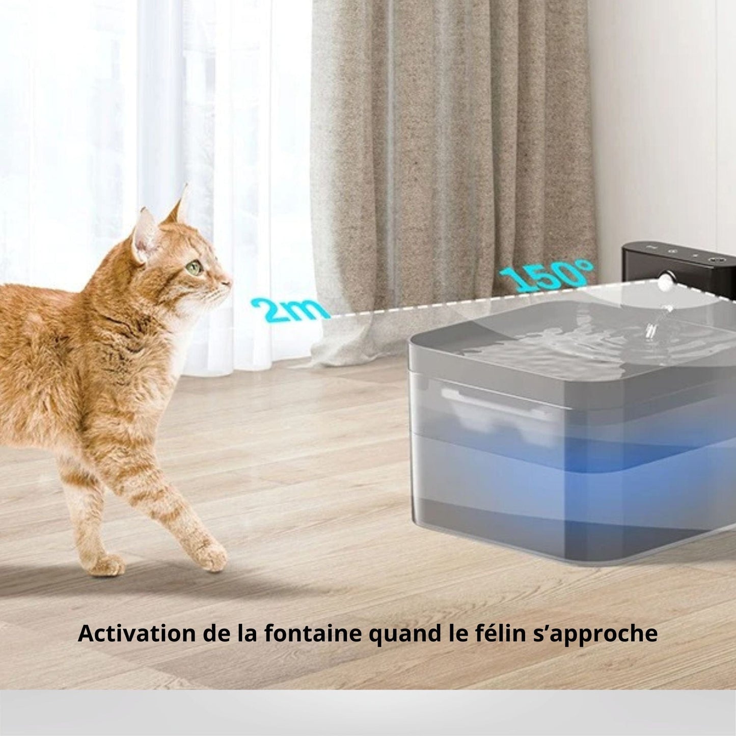 Fontaine à eau pour chat - Le Miaou Source Noir