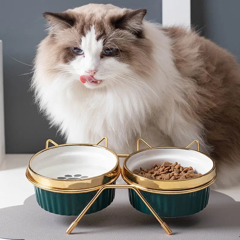 Gamelle pour chat - La Cantine du Chat