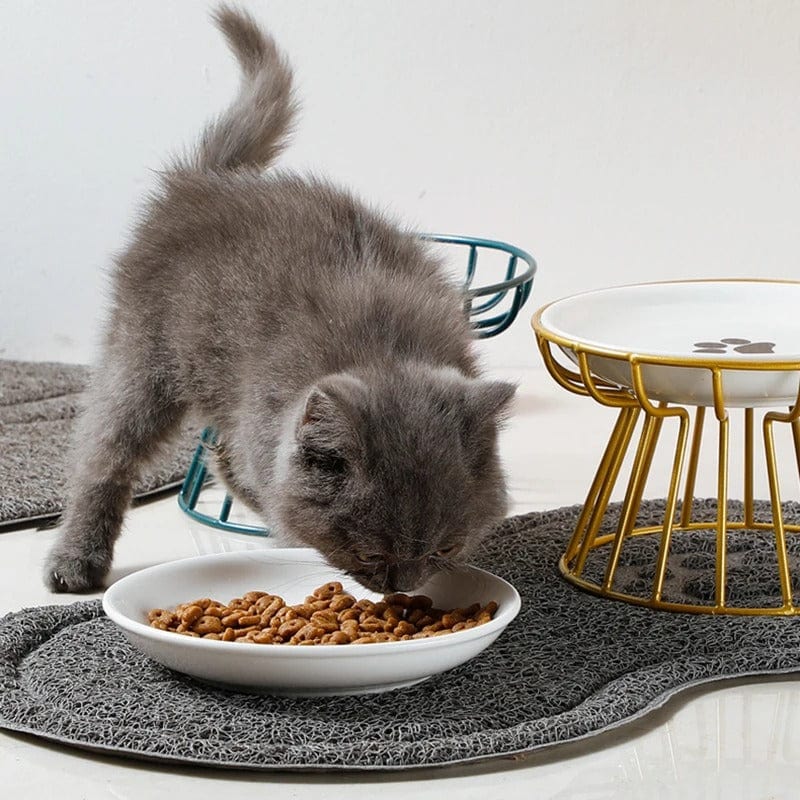 Gamelle pour chat - Le Bol de Minou