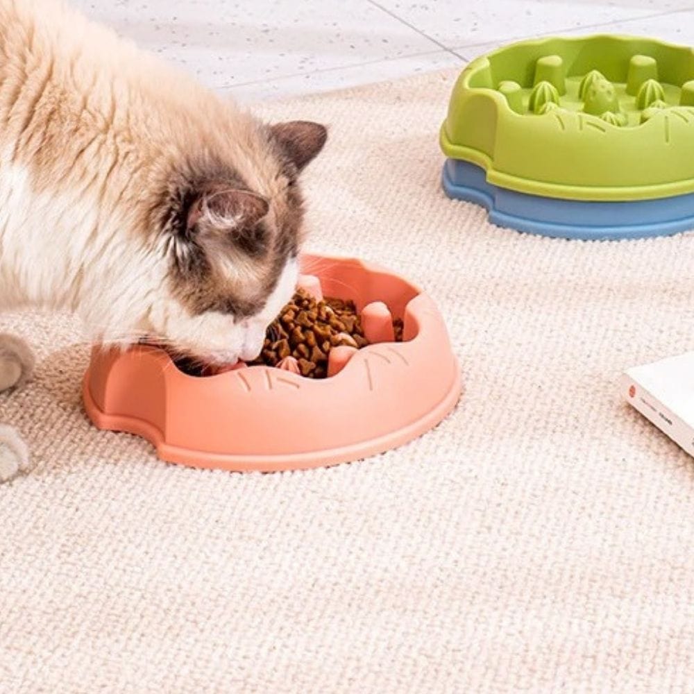 Gamelle pour chat - Miaou Miam