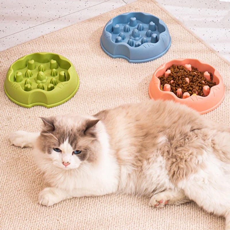 Gamelle pour chat - Miaou Miam