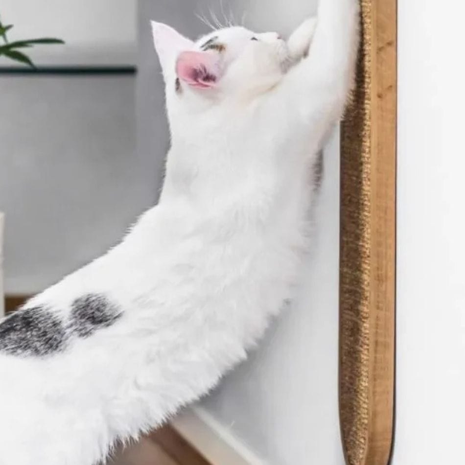 Griffoir pour chat - Purrfect Tronc
