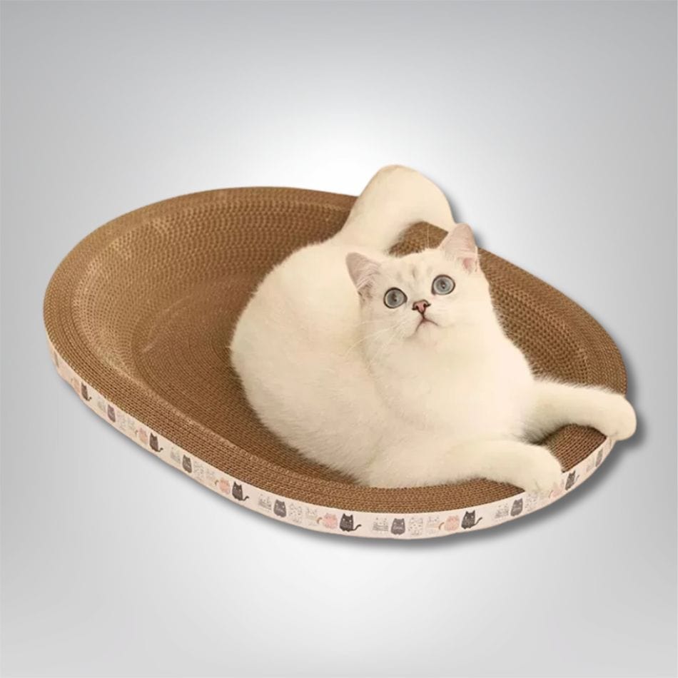 Griffoir pour chat - Whisk’Griff Large / 3kg