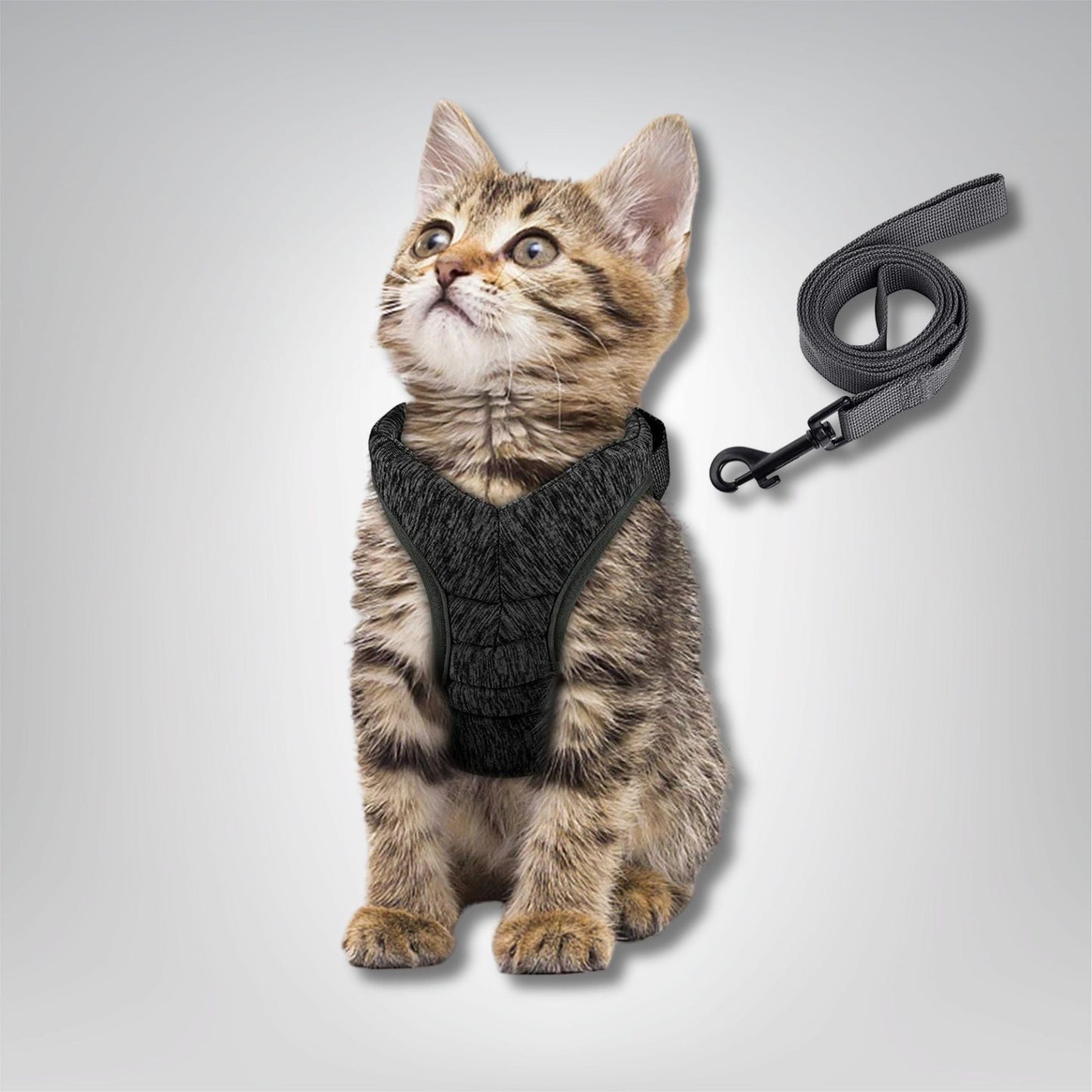 Harnais pour chat - Velours & Moustaches