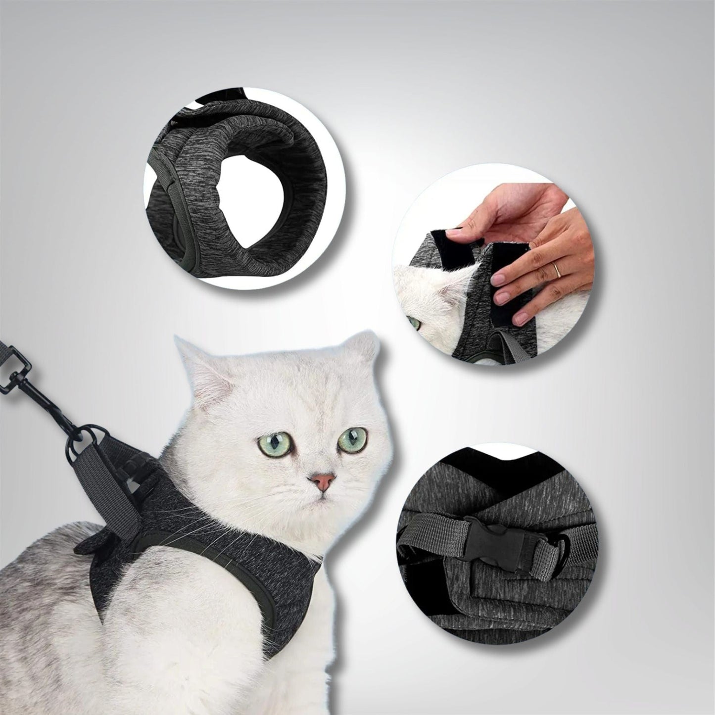 Harnais pour chat - Velours & Moustaches