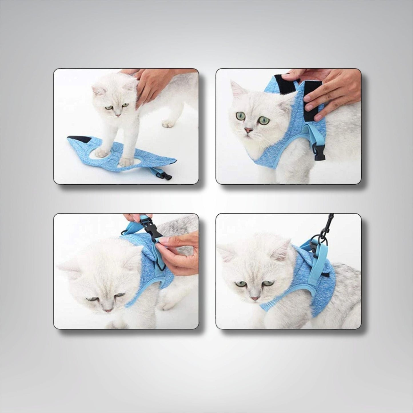 Harnais pour chat - Velours & Moustaches