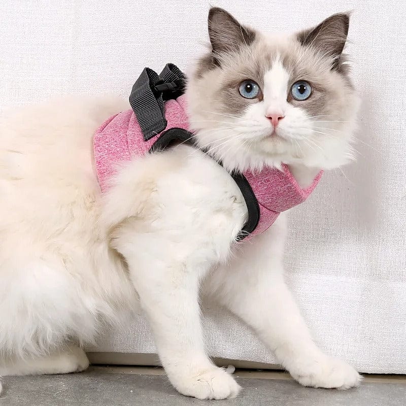 Harnais pour chat - Velours & Moustaches Rose / S