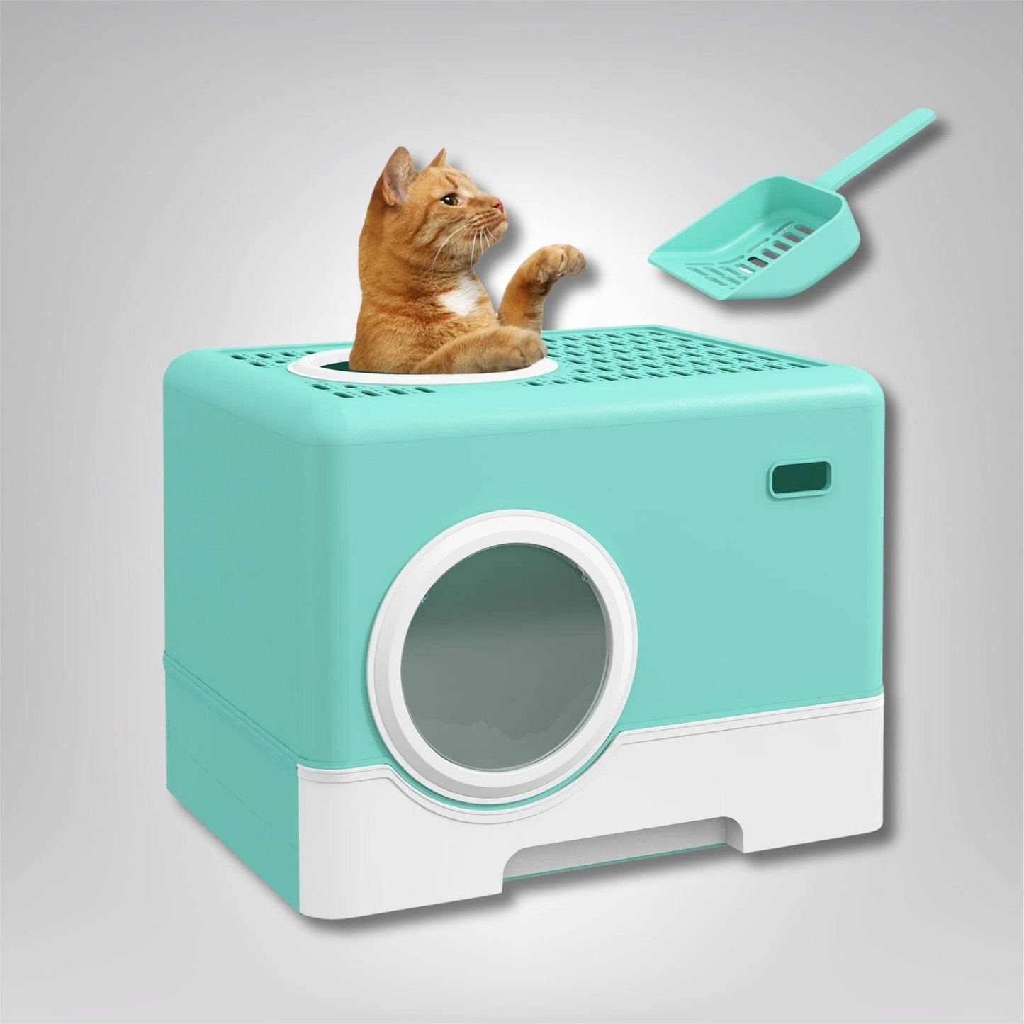 Litière pour chat - Miaou Malibu Vert