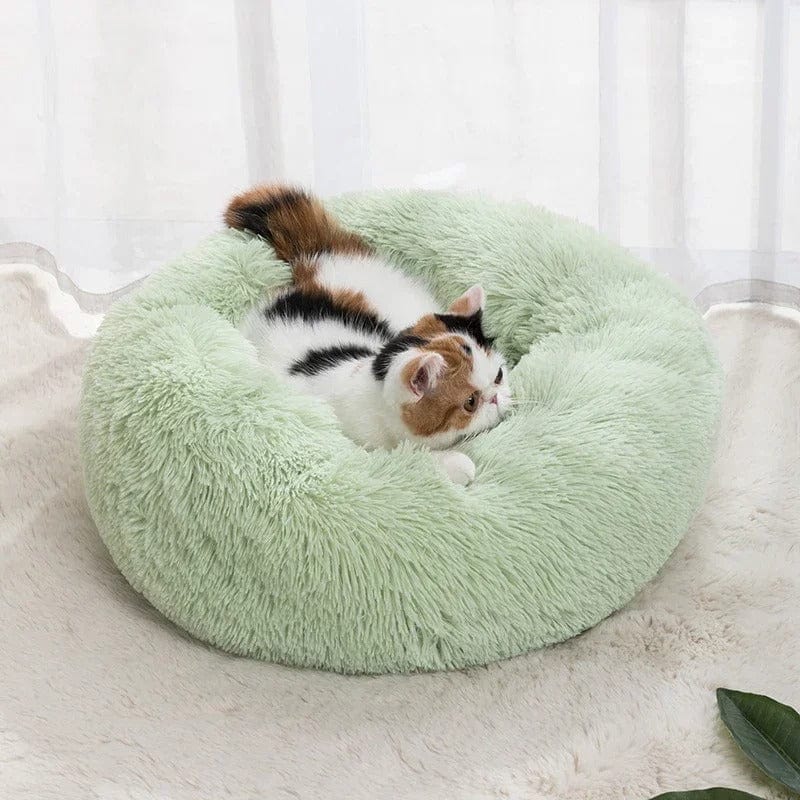 Panier pour chat - Sommeil Ronronnant Vert / 40cm