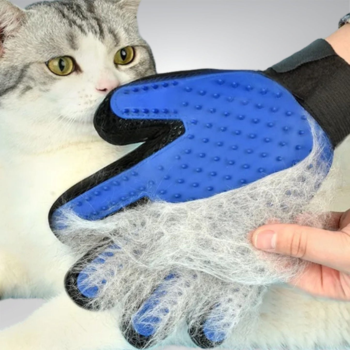 Toilette pour chat - Gant le Félifrizz