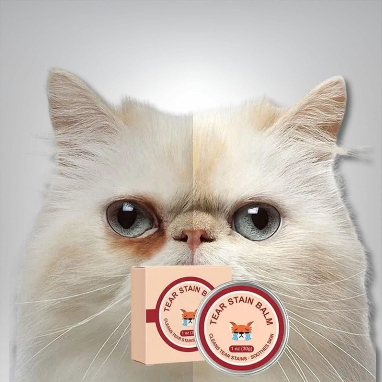 Toilette pour chat - Purrfect Crème