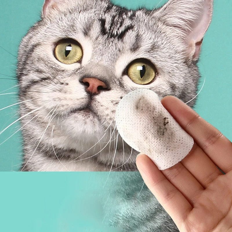 Toilette pour chat - Purrfect Crème