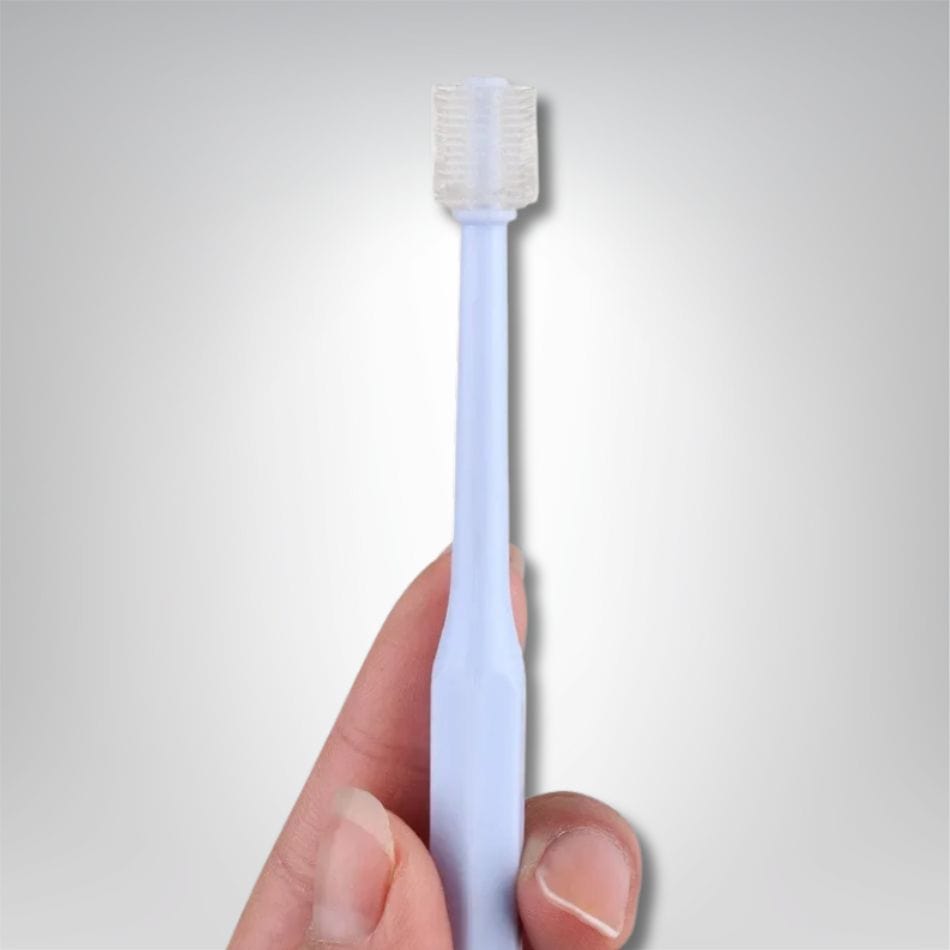 Toilette pour chat - Ronron et Tooth Bleu