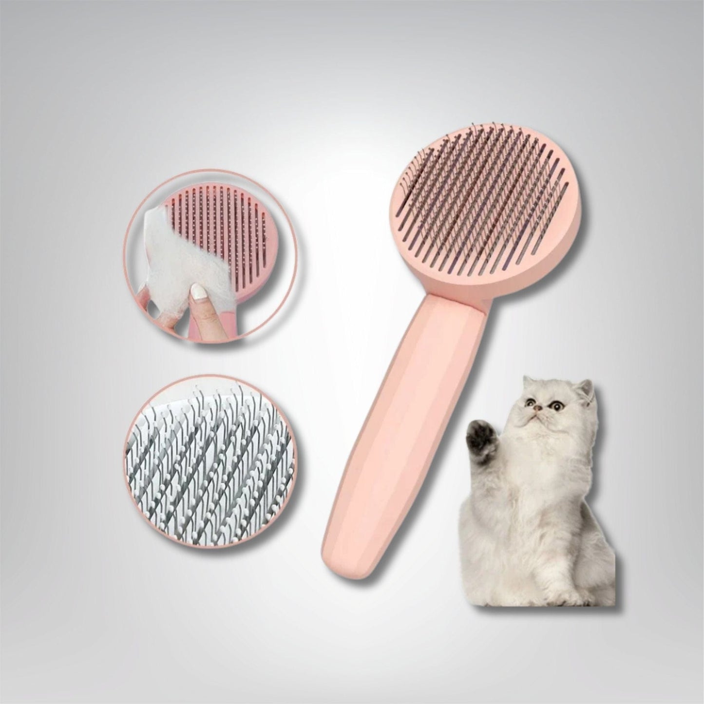 Toilette pour chat - Splendeur Féline