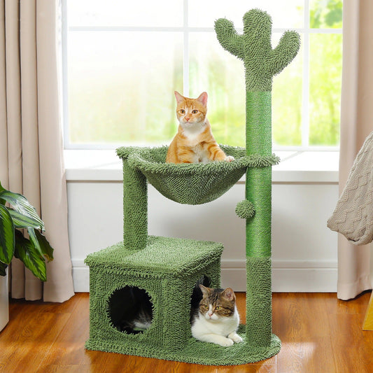 Arbre à chat - Cactus Cat Vert