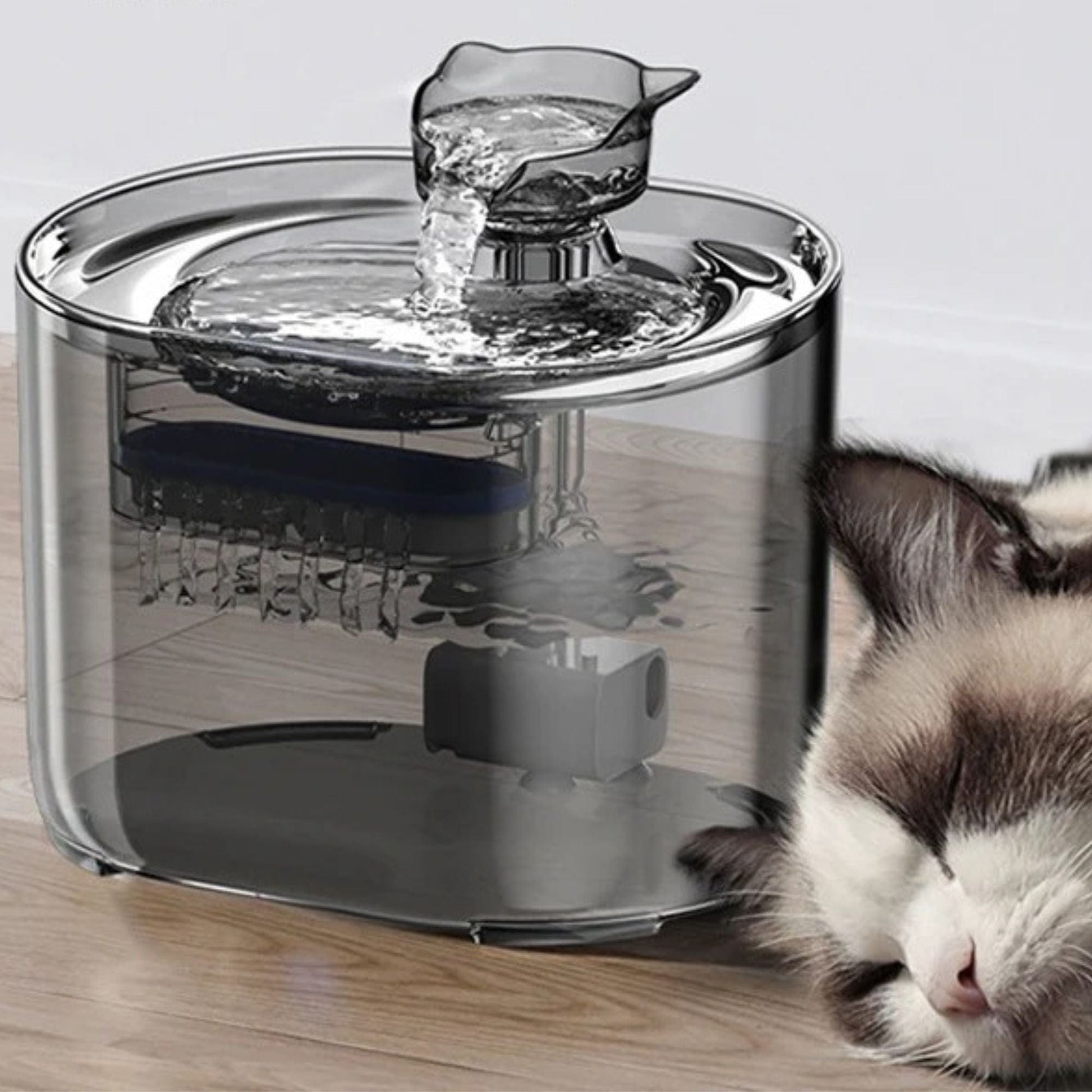 Fontaine à eau pour chat - AquaChat