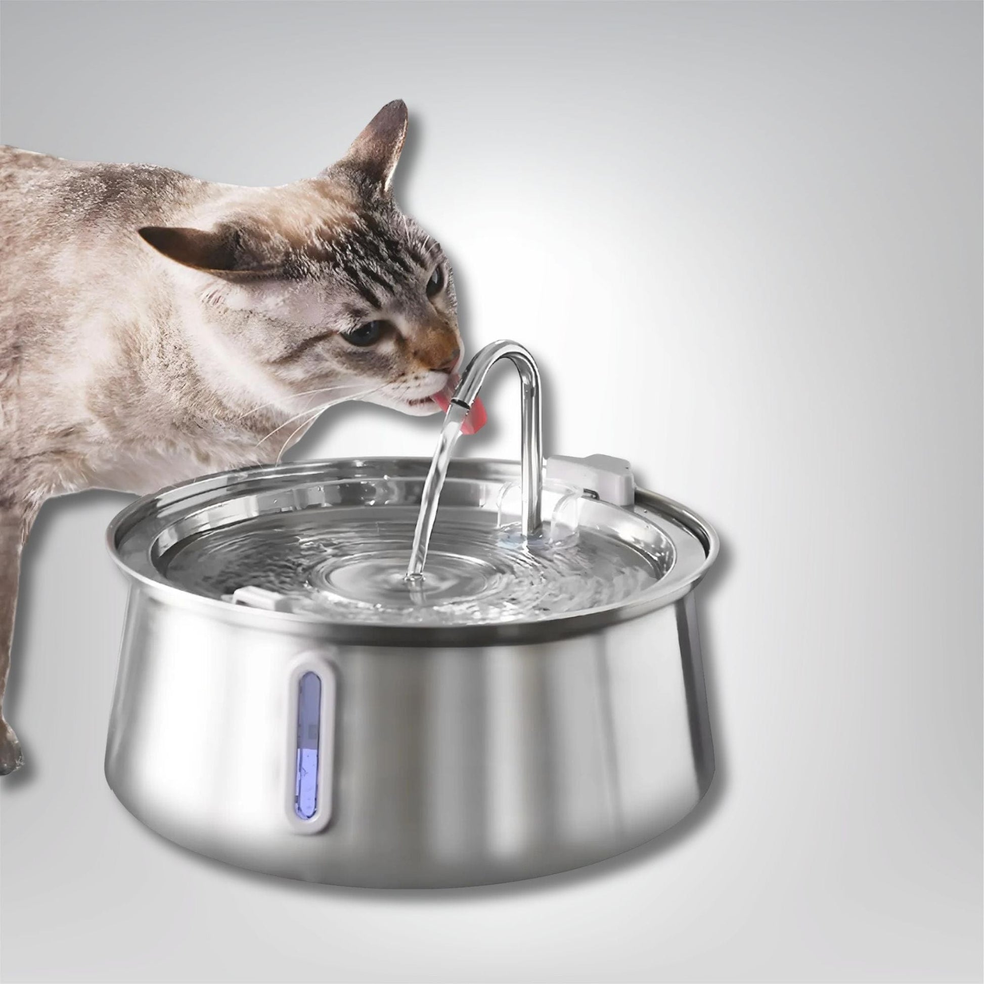 Fontaine à eau pour chat - Félin’Fountain