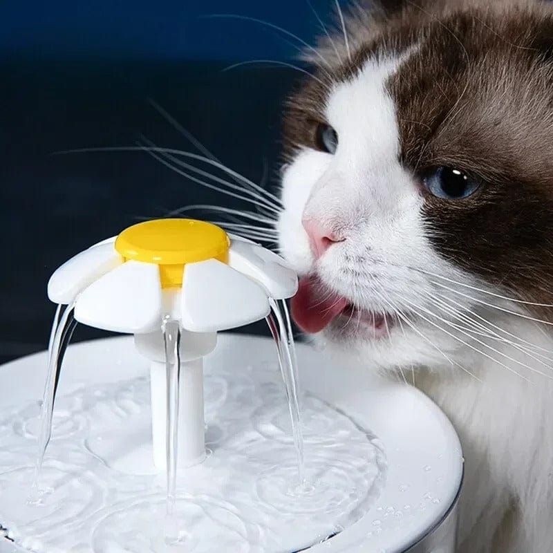 Fontaine à eau pour chat - Fleurypattes