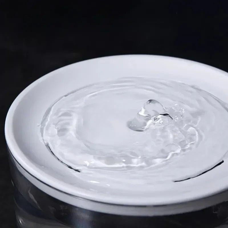 Fontaine à eau pour chat - Fleurypattes