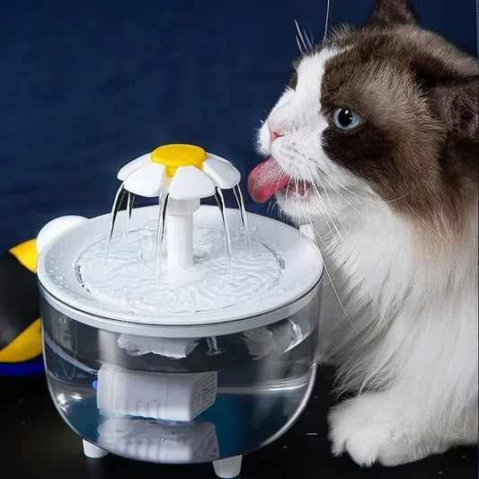 Fontaine à eau pour chat - Fleurypattes