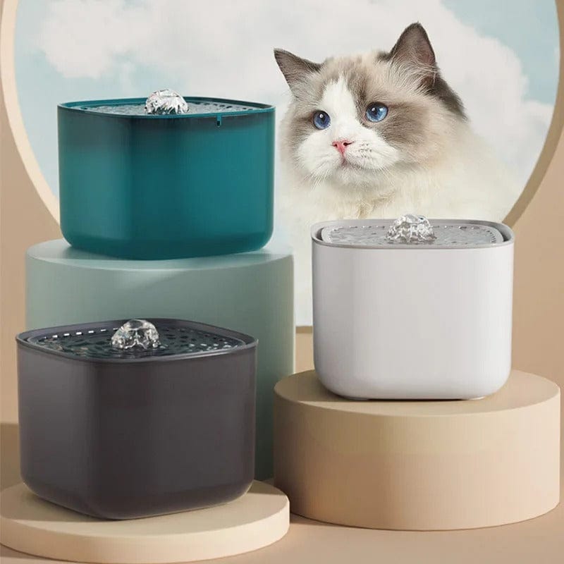 Fontaine à eau pour chat - Moustache’Flow