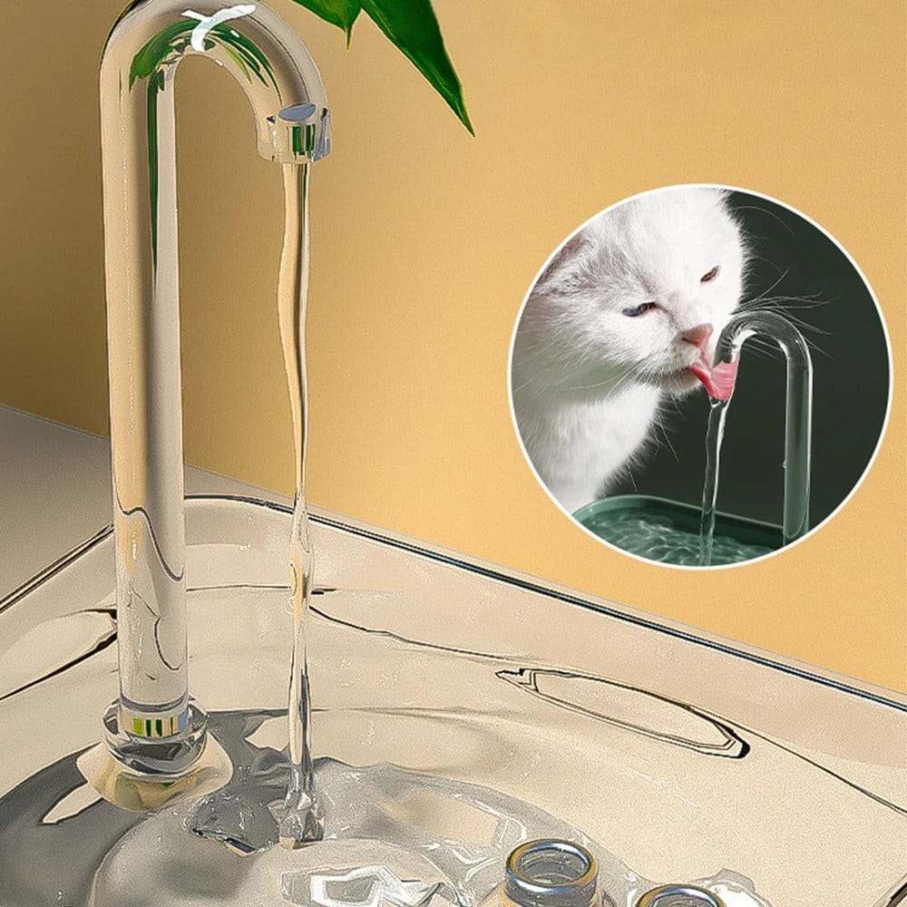 Fontaine à eau pour chat - Source Féline