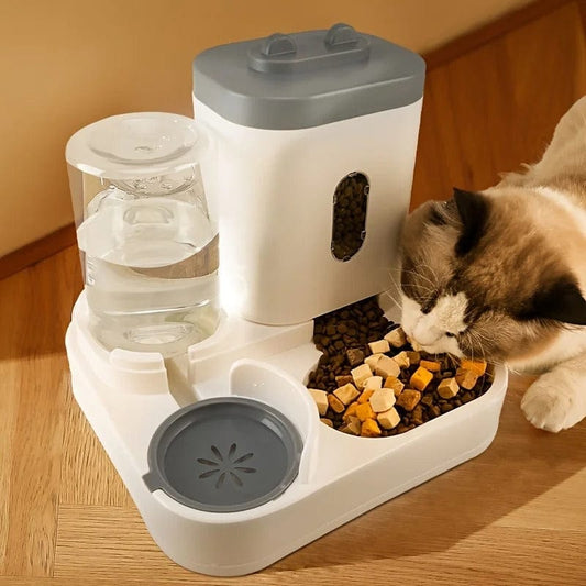 Gamelle pour chat - L'Écuelle Royale