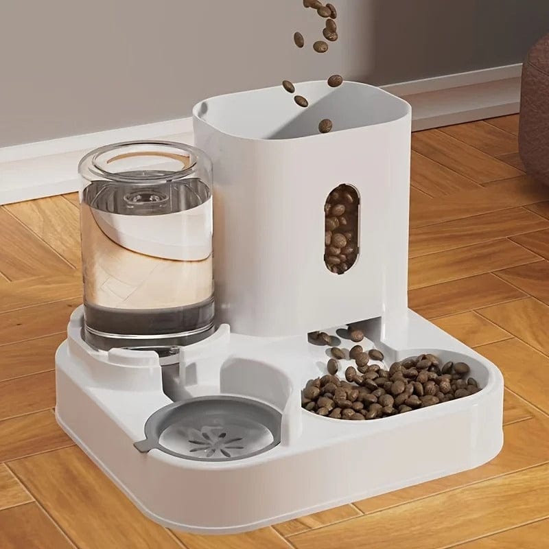 Gamelle pour chat - L'Écuelle Royale