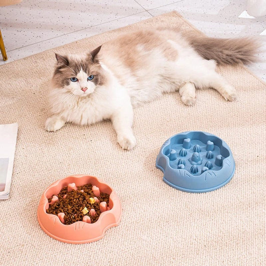 Gamelle pour chat - Miaou Miam