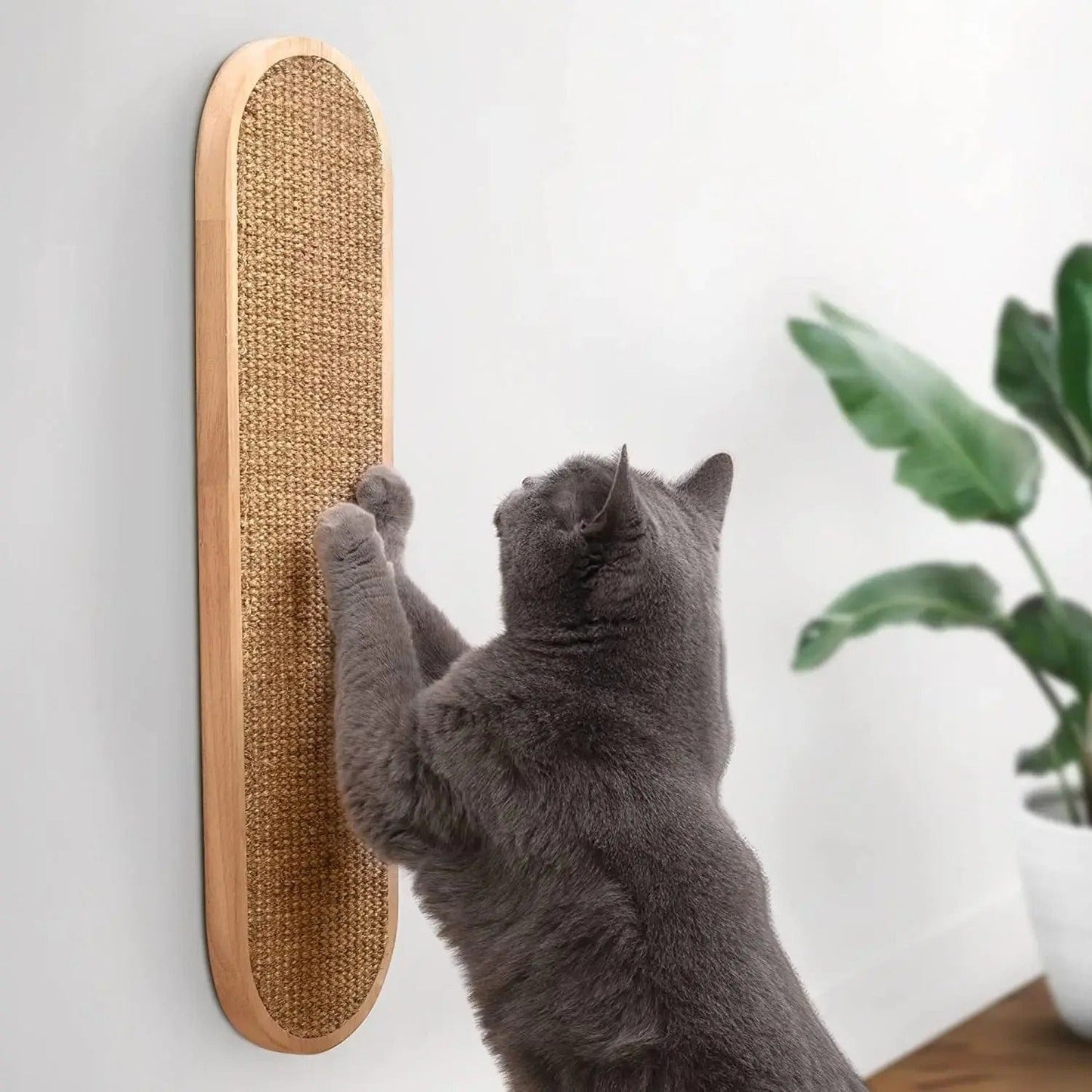 Griffoir pour chat - Purrfect Tronc M