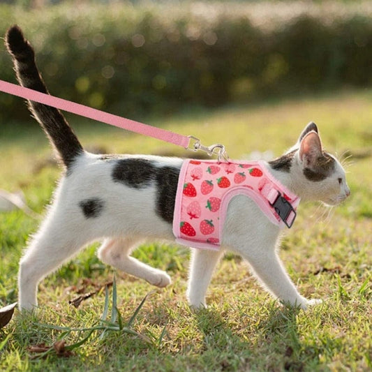 Harnais pour chat - Féline Fraise