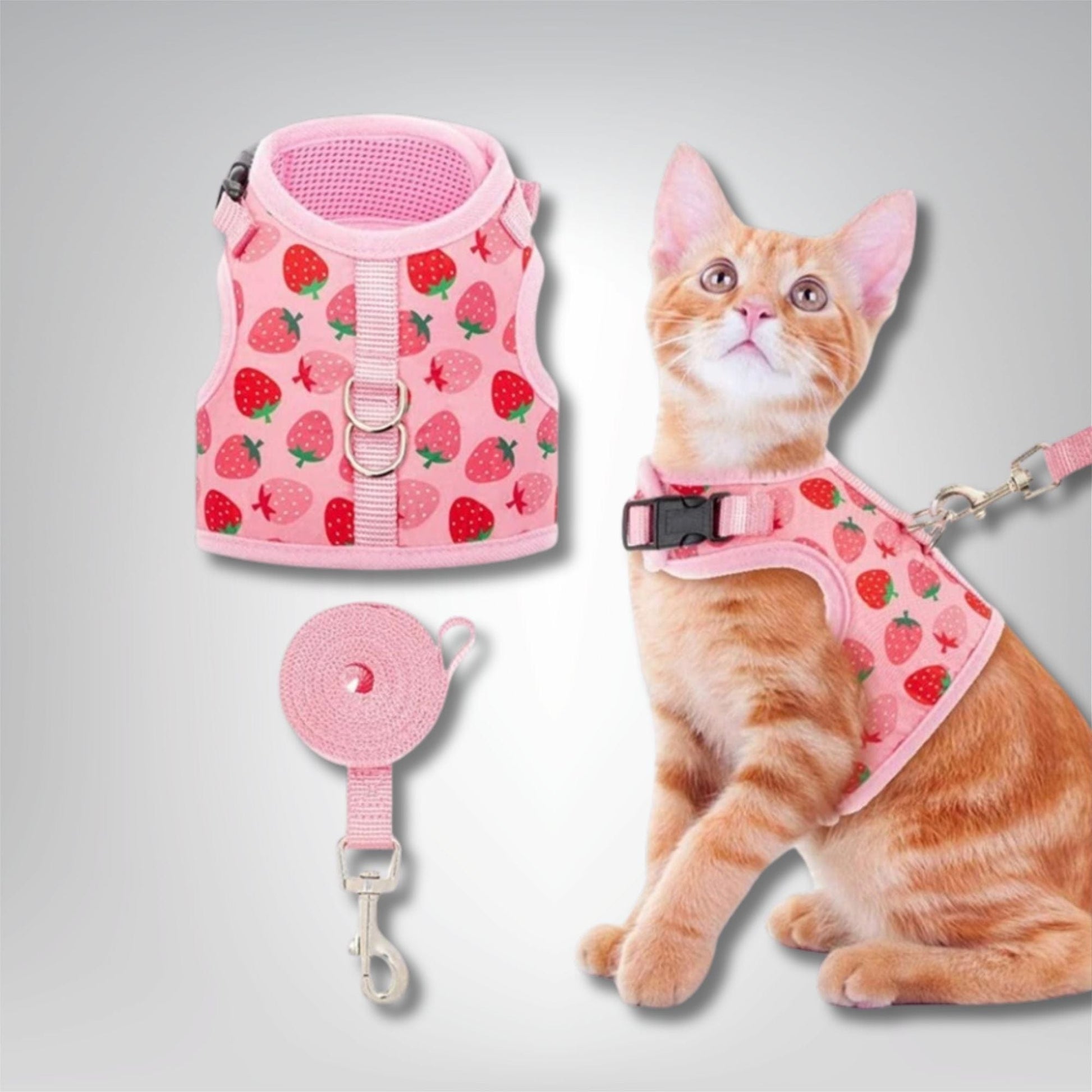 Harnais pour chat - Féline Fraise XS
