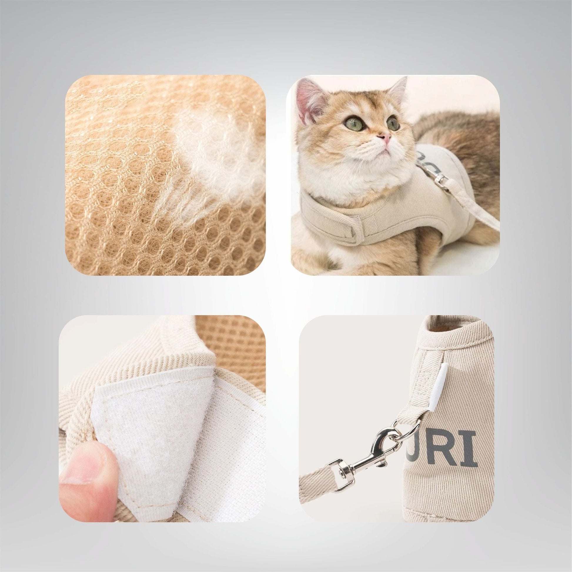 Harnais pour chat - L’Allure Royale Duri