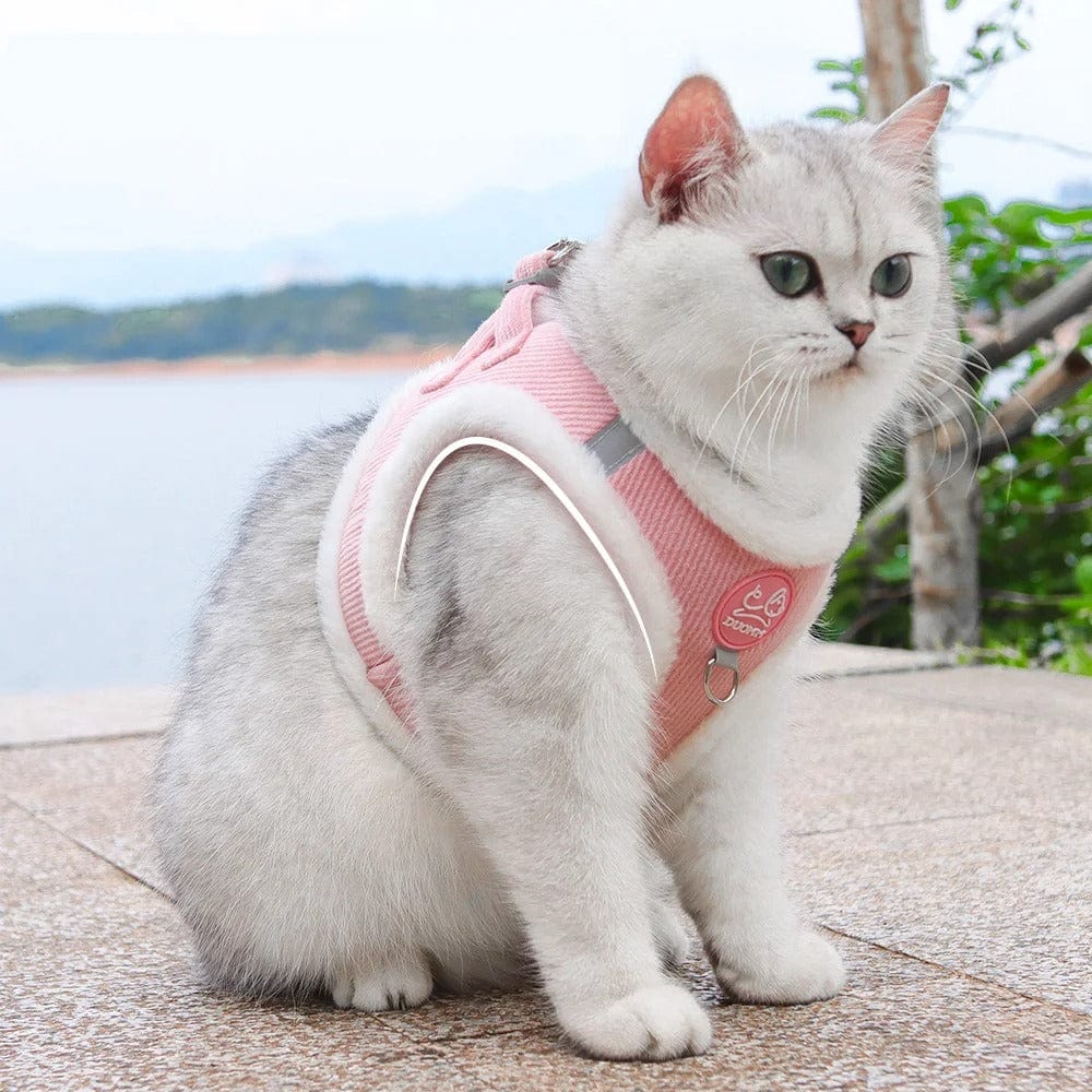 Harnais pour chat - Majesté du Chat