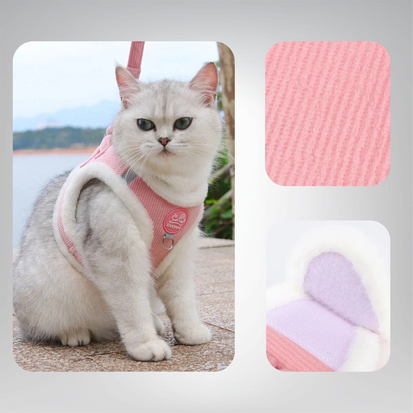 Harnais pour chat - Majesté du Chat