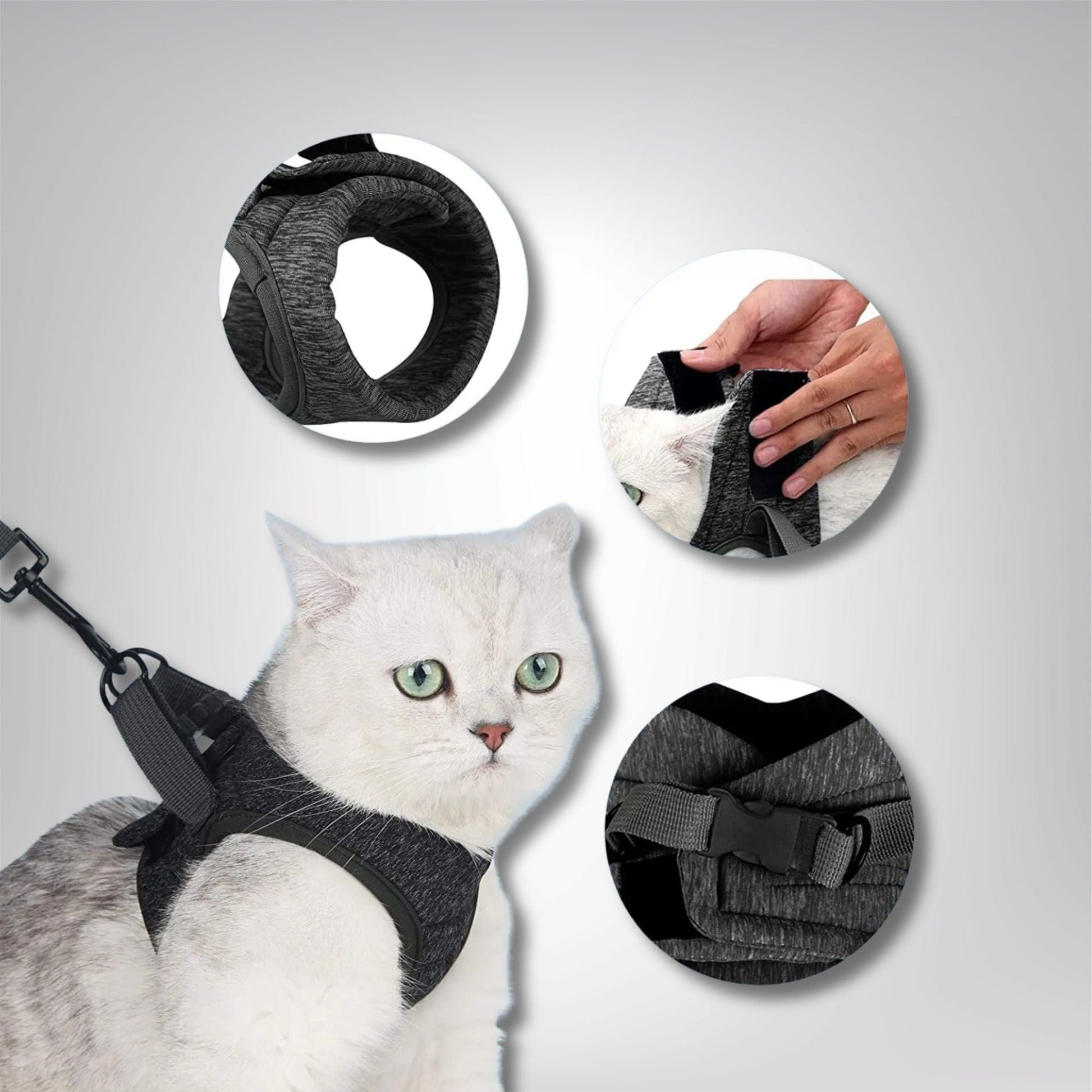 Harnais pour chat - Velours & Moustaches
