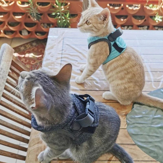 Harnais pour chat - Velours & Moustaches