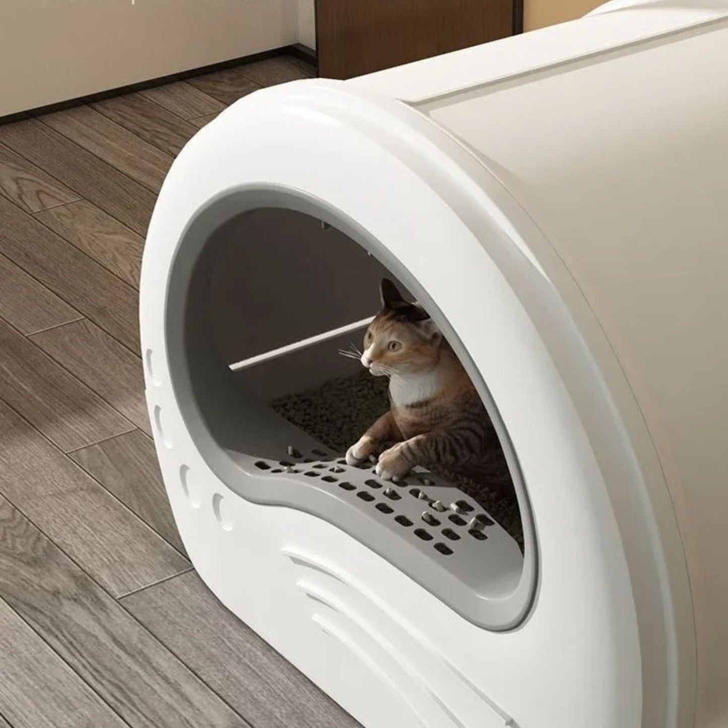 Litière pour chat - Cocon Majestueux Gris