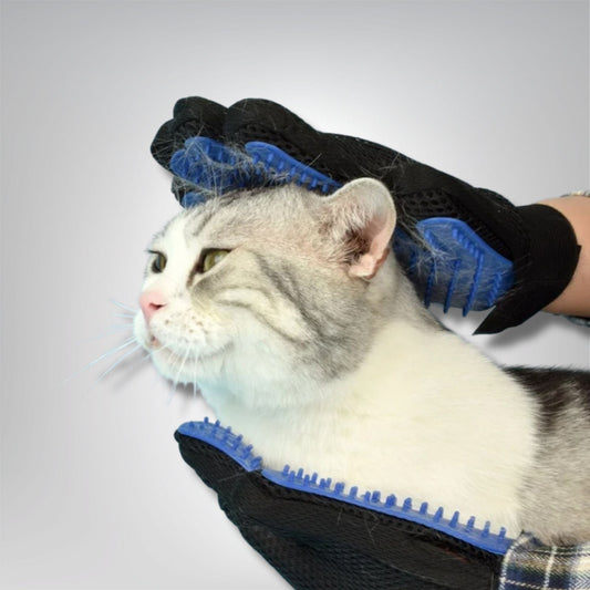 Toilette pour chat - Gant le Félifrizz